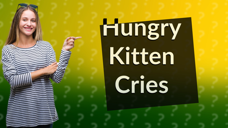 Hungry Kitten Cries