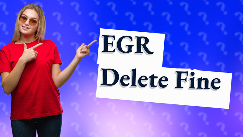 EGR Delete Fine