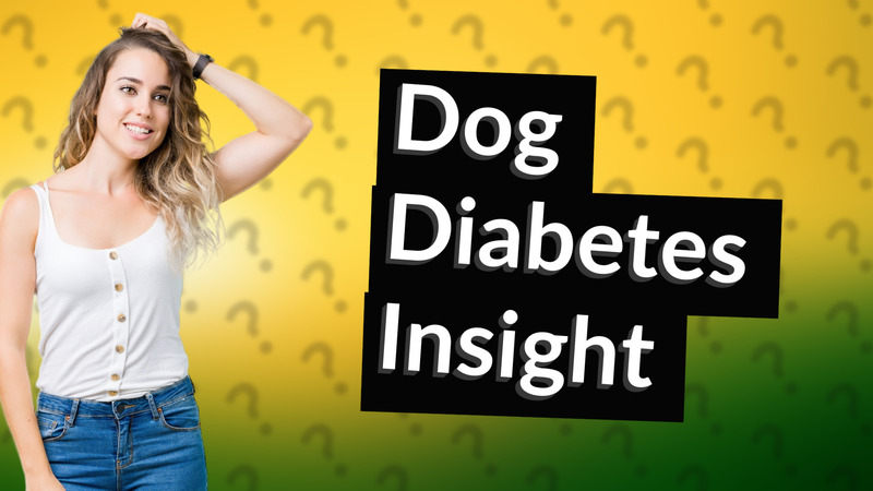Dog Diabetes Insight