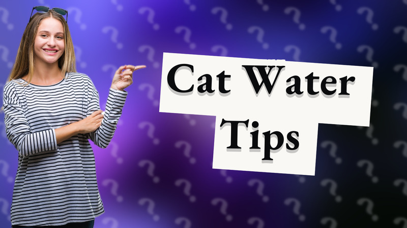 Cat Water Tips
