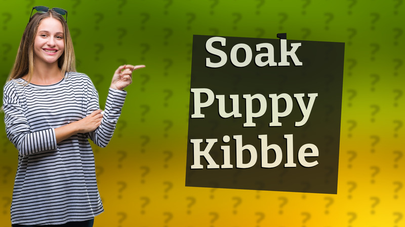 Soak Puppy Kibble