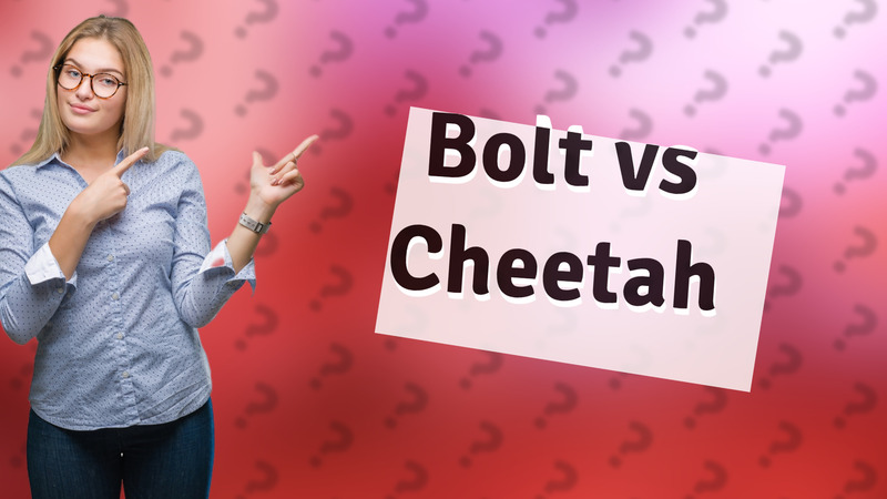 Bolt vs Cheetah