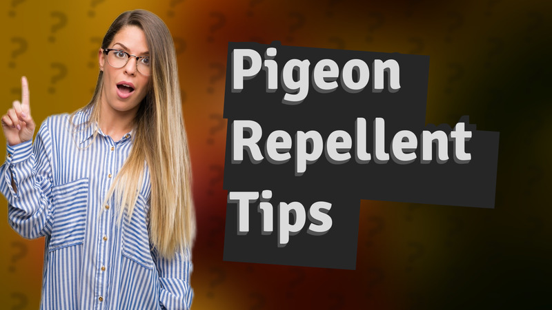 Pigeon Repellent Tips