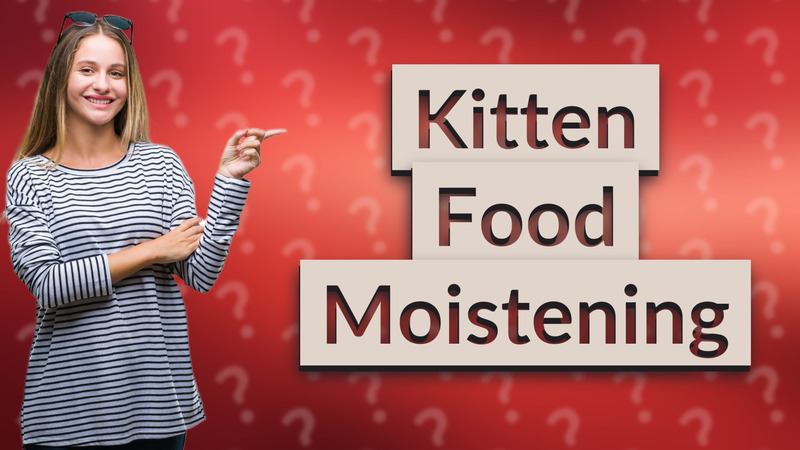 Kitten Food Moistening