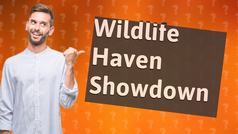 Wildlife Haven Showdown