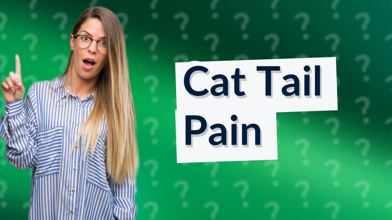 Cat Tail Pain