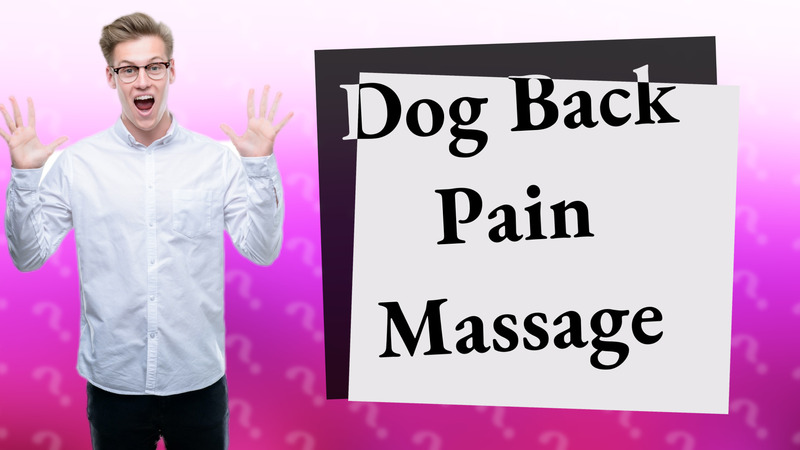 Dog Back Pain Massage