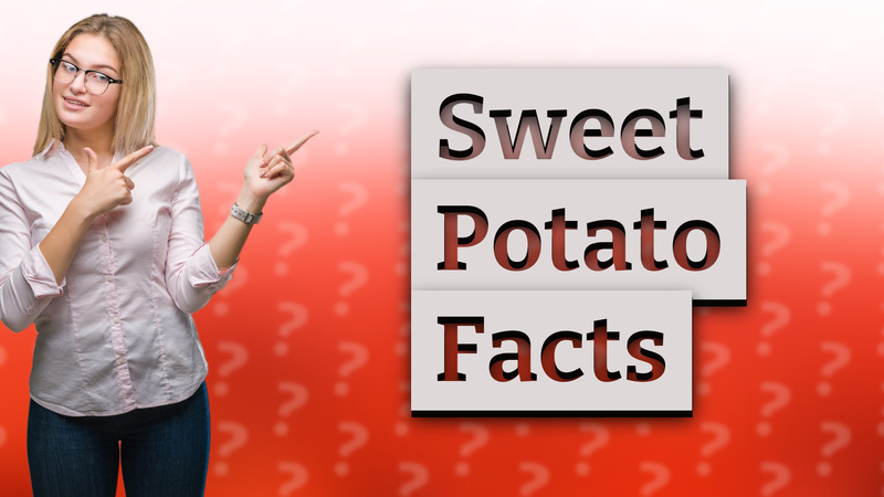 Sweet Potato Facts