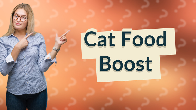 Cat Food Boost