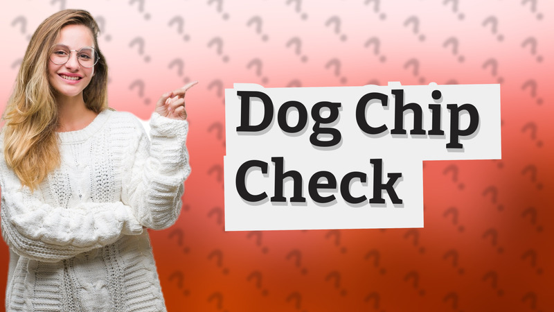 Dog Chip Check