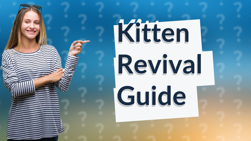 Kitten Revival Guide