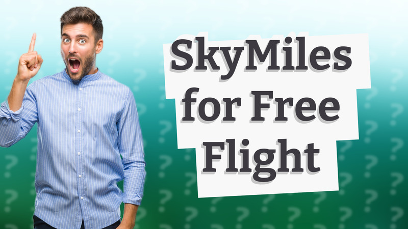 SkyMiles for Free Flight