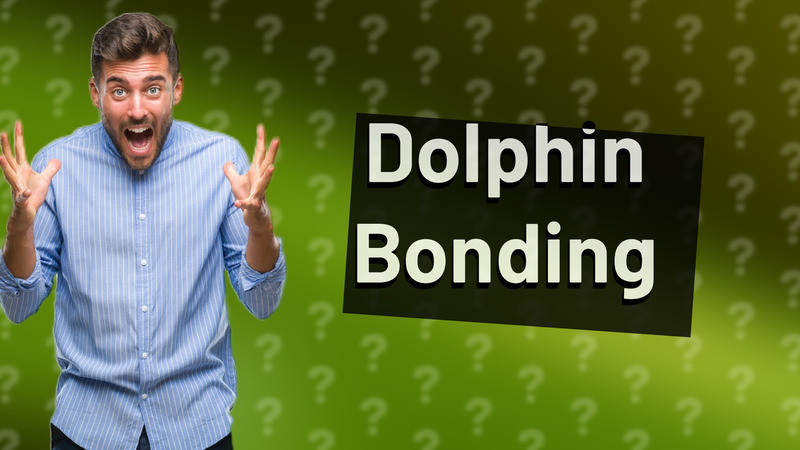 Dolphin Bonding