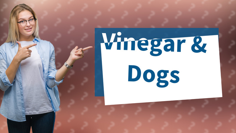 Vinegar & Dogs