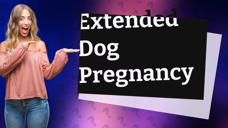 Extended Dog Pregnancy