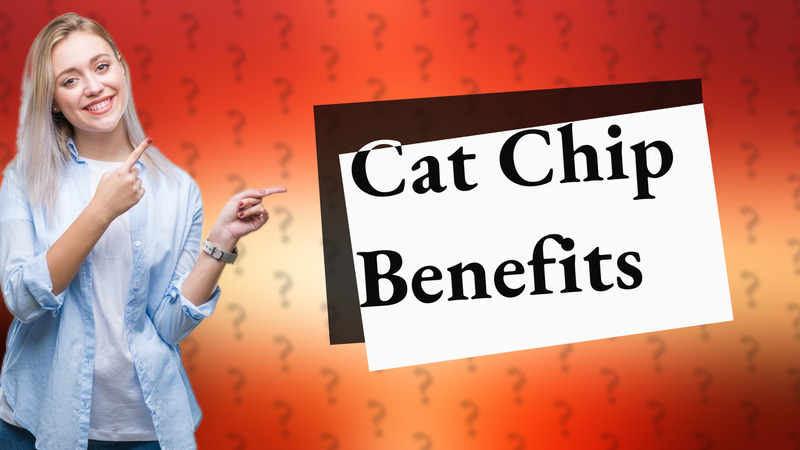 Cat Chip Benefits