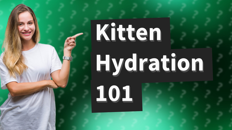Kitten Hydration 101