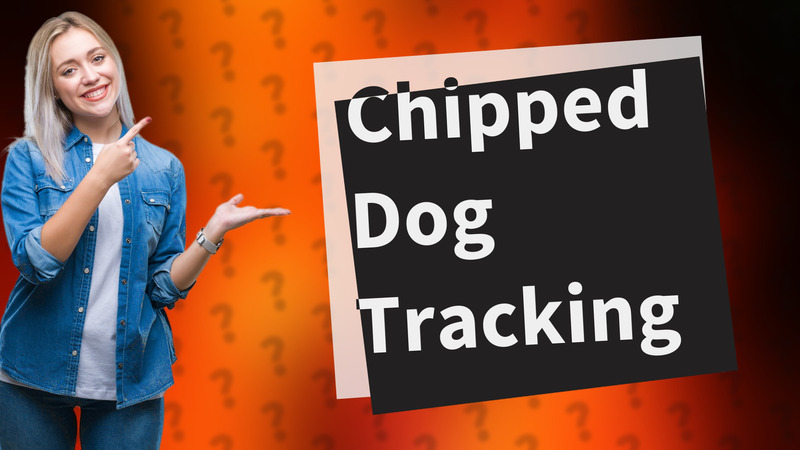 Chipped Dog Tracking