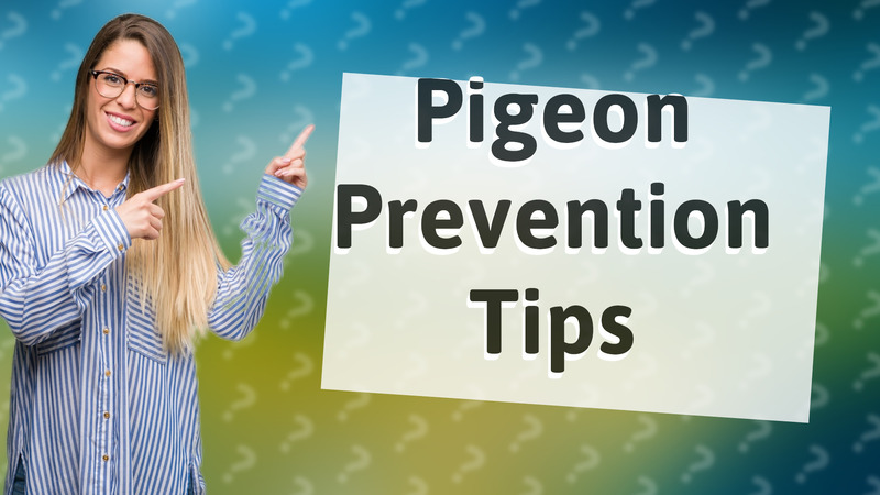 Pigeon Prevention Tips