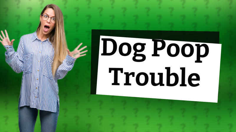 Dog Poop Trouble