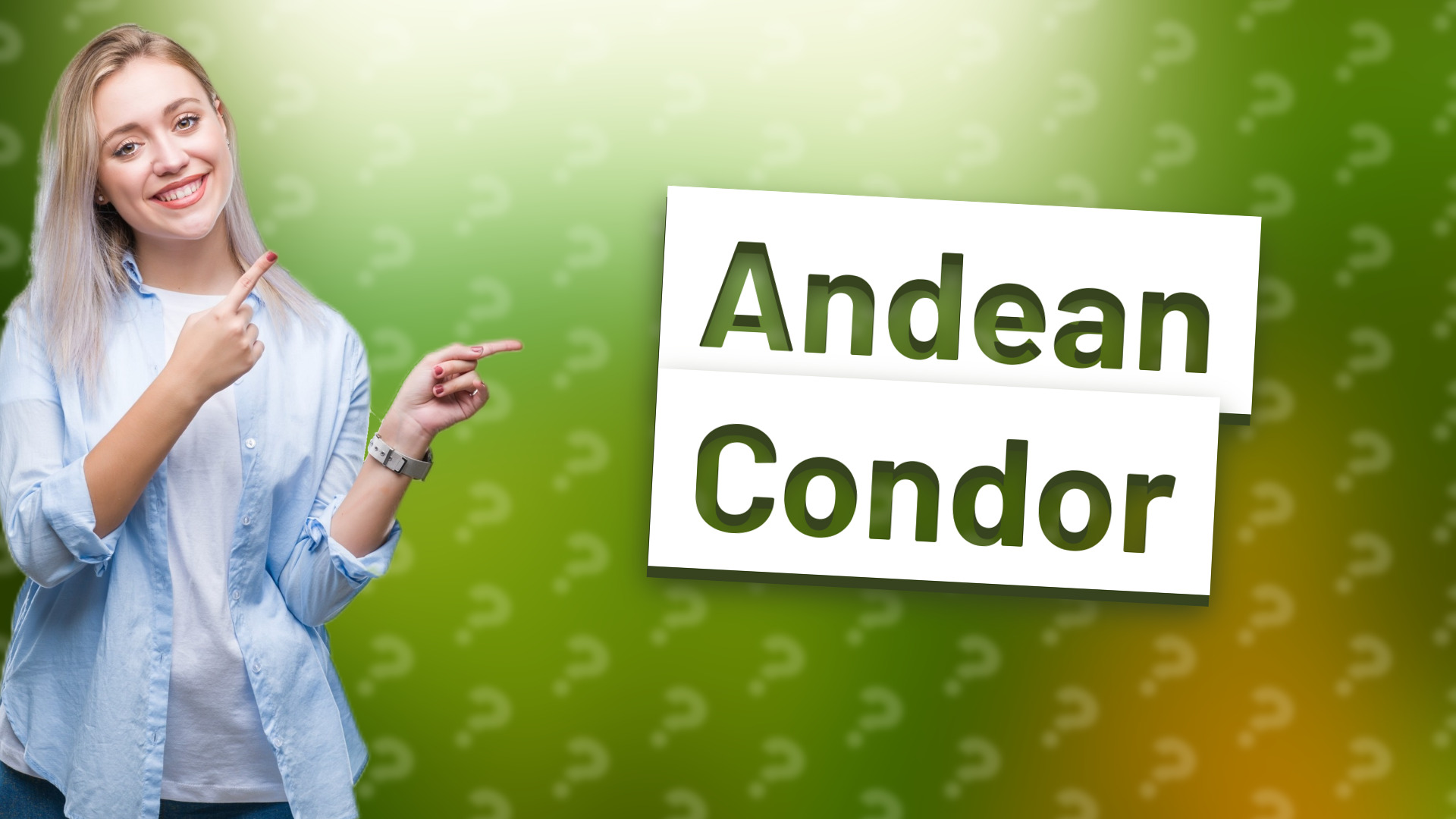 Andean Condor