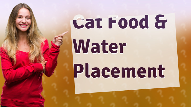 Cat Food & Water Placement