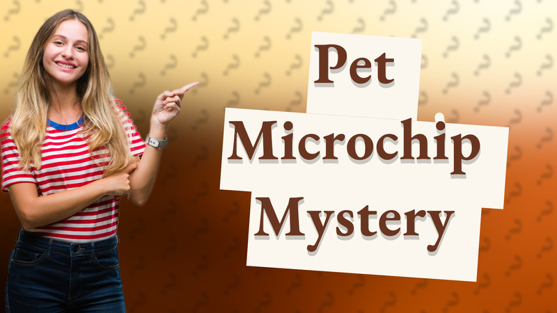 Pet Microchip Mystery