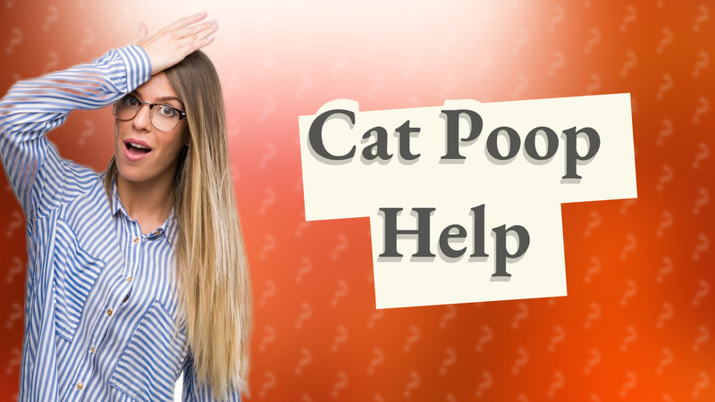 Cat Poop Help