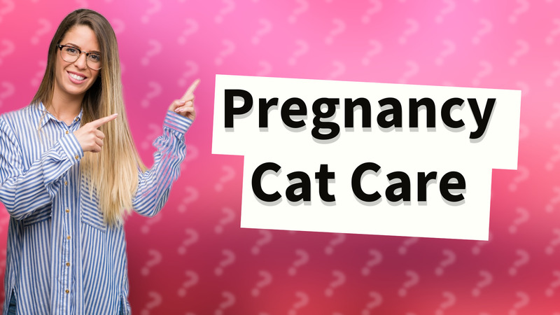 Pregnancy Cat Care