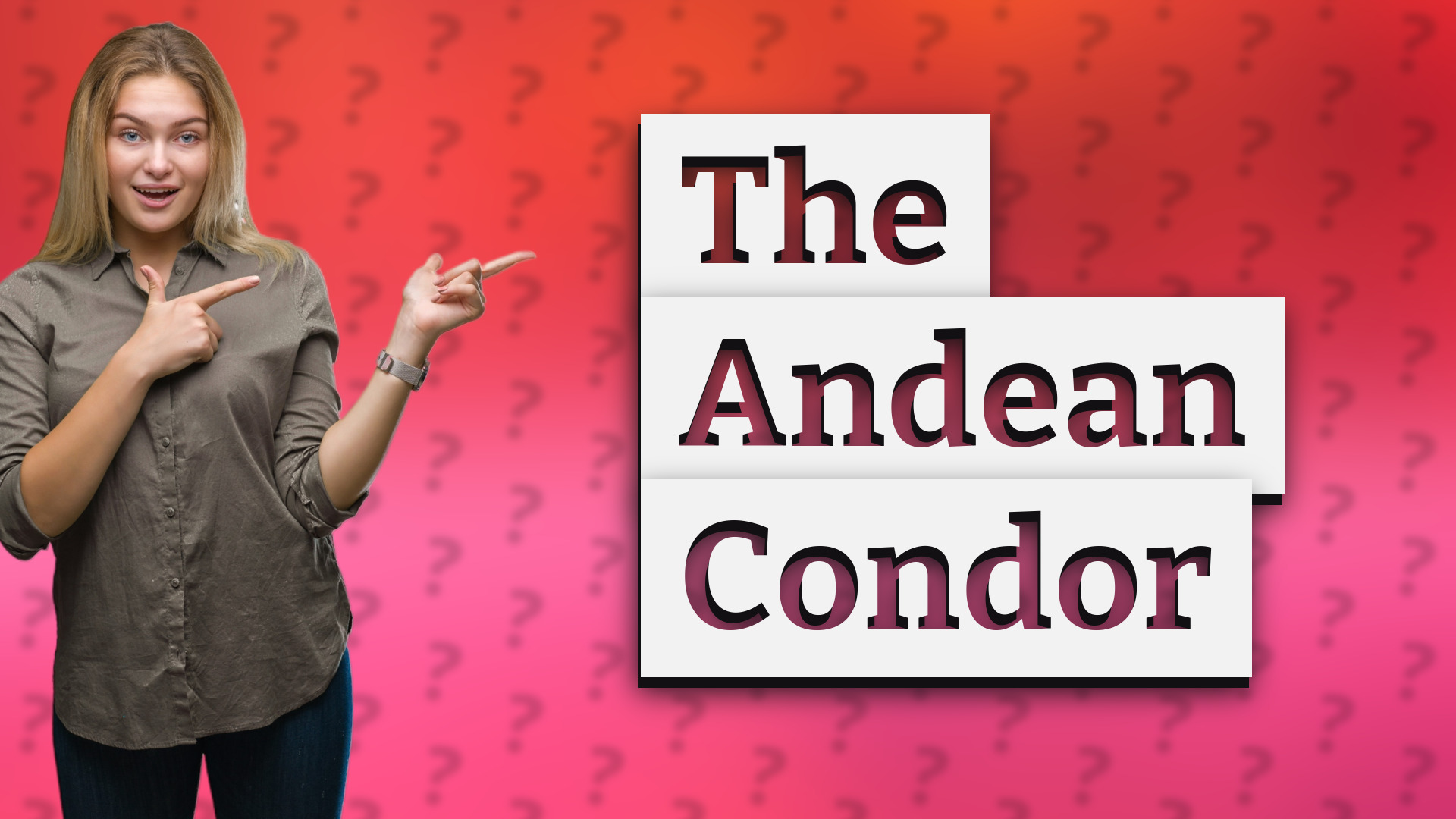 The Andean Condor
