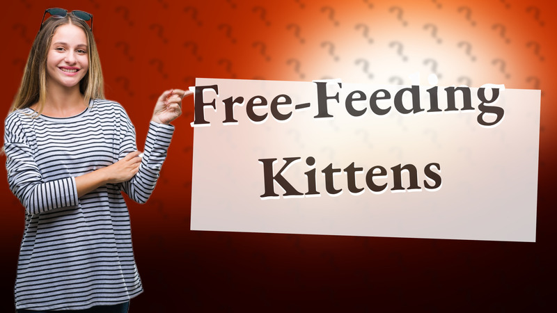 Free-Feeding Kittens