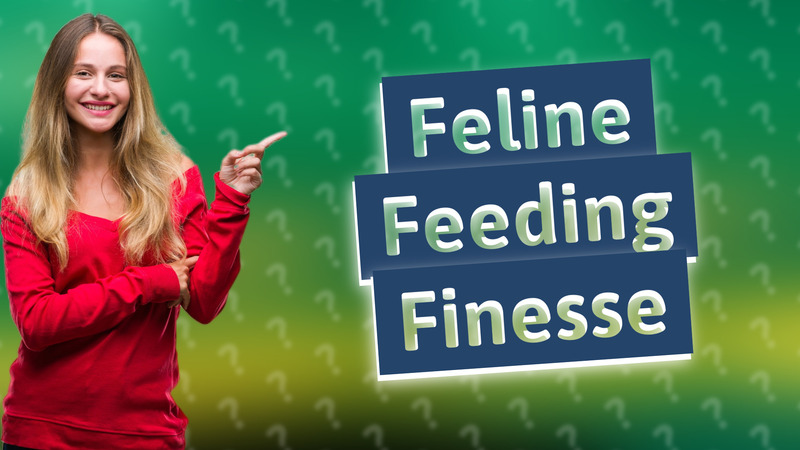 Feline Feeding Finesse