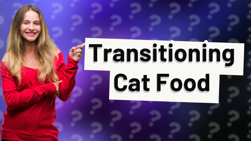 Transitioning Cat Food