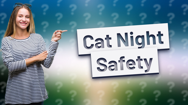 Cat Night Safety