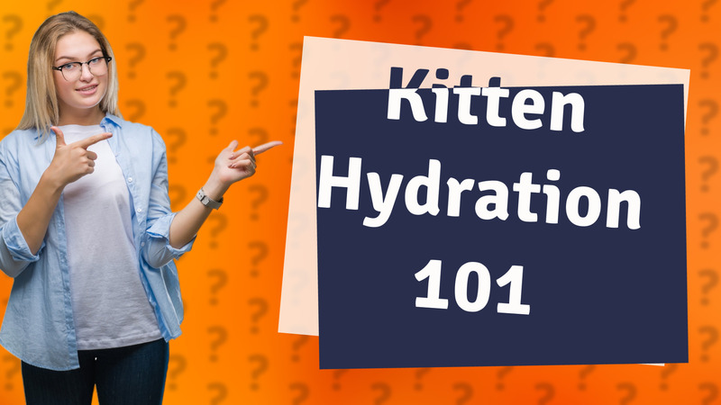 Kitten Hydration 101