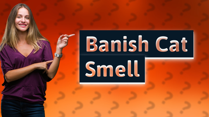 Banish Cat Smell