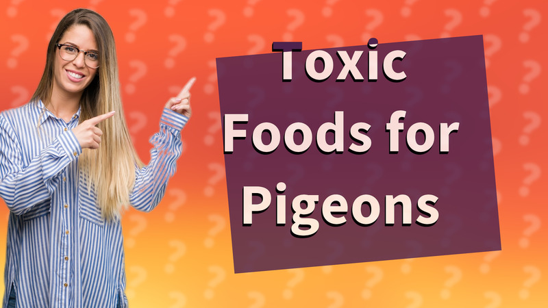 Toxic Foods for Pigeons