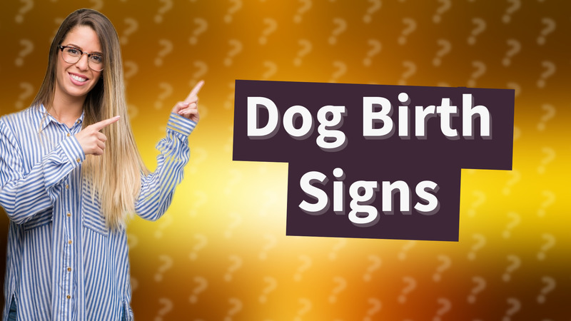 Dog Birth Signs