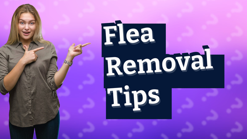 Flea Removal Tips