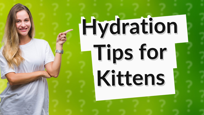 Hydration Tips for Kittens