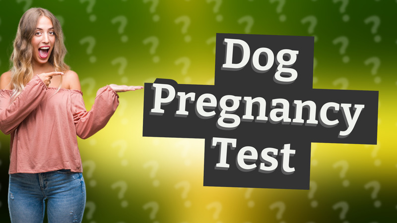 Dog Pregnancy Test