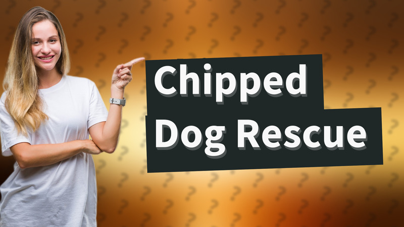 Chipped Dog Rescue