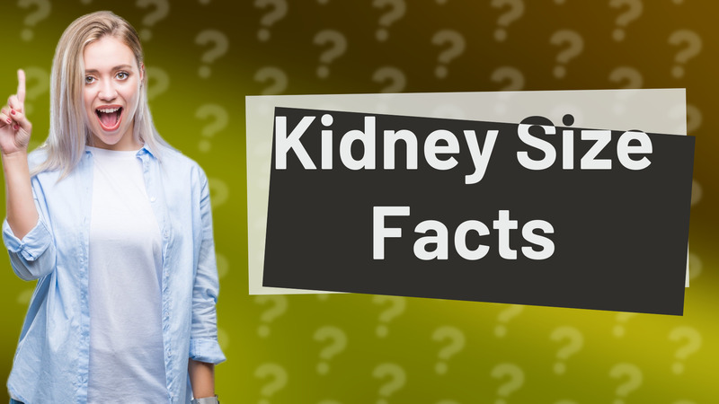 Kidney Size Facts