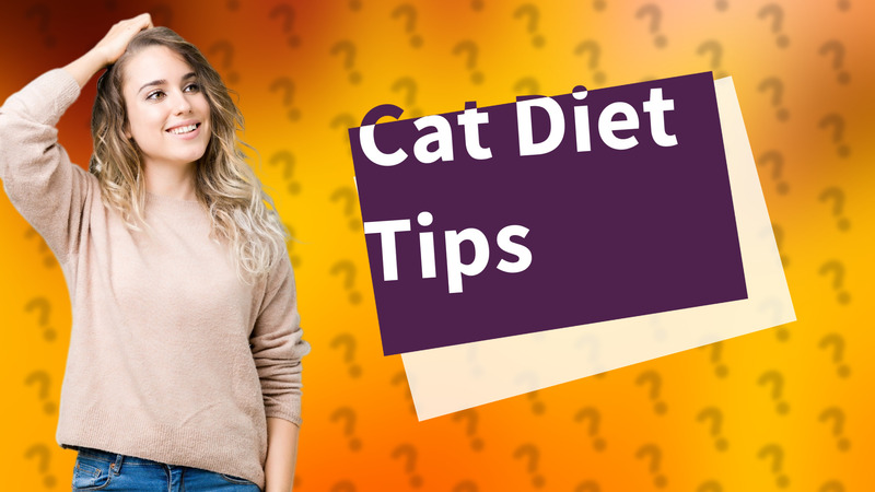 Cat Diet Tips