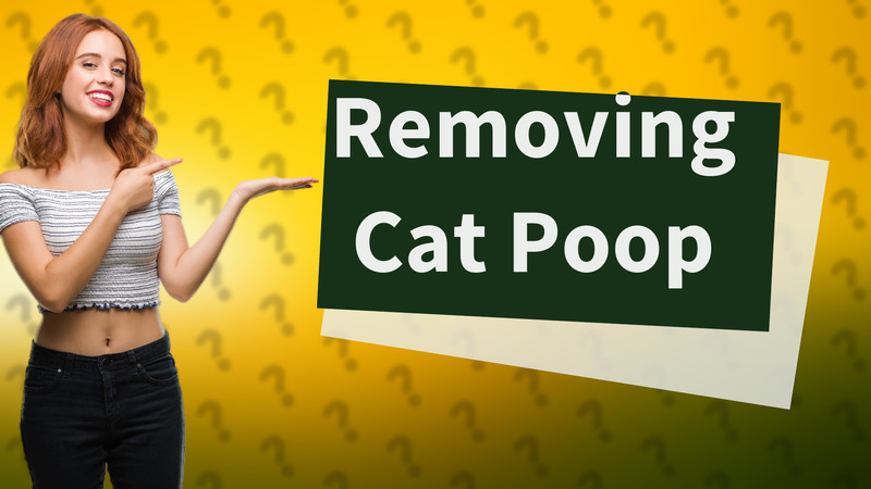Removing Cat Poop