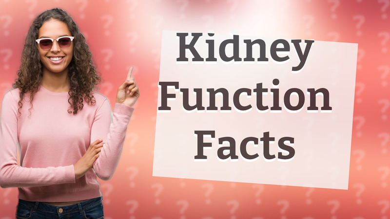 Kidney Function Facts