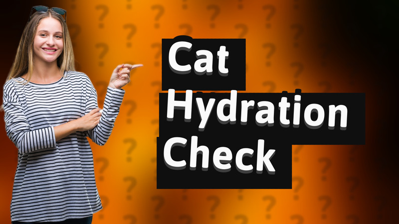 Cat Hydration Check