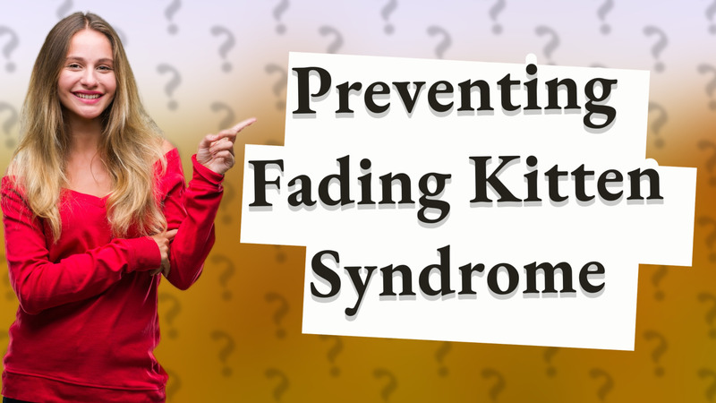 Preventing Fading Kitten Syndrome