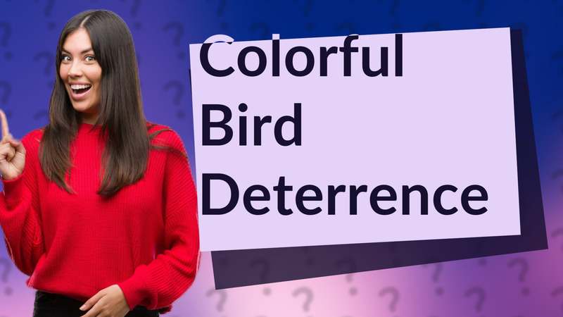 Colorful Bird Deterrence