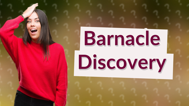Barnacle Discovery